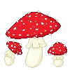 5843mushroomtrio