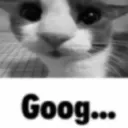 goog
