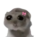 Sadhamster