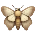 Moth