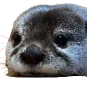 sadboi