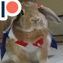 BunbunsCocone