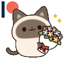 flowercat