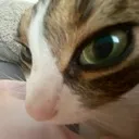 julietsideeye