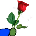 rose2_pepe