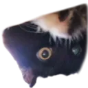 emoji_109