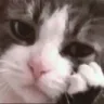 sad