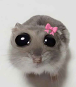 imjustagirl Discord emoji