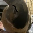 __