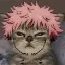 sukunacat