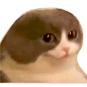 SeeThis Discord emoji