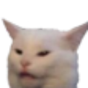 CatConfused Discord emoji