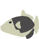 triggerfish