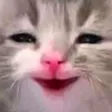 HappyCat HappyCat