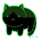 23907rollingcat