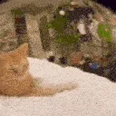 catHMM catHMM