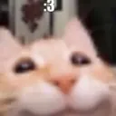 kosh_3