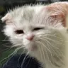 feelsweirdandshitman