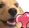 AL2_dogluv