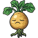 mandrake