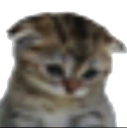 __ custom emote | #~ 𝐄𝐦𝐩𝐢𝐫𝐞 𝐖𝐞𝐬𝐭 𝟏𝟖𝟕