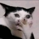 __ custom emote from #~ 𝐄𝐦𝐩𝐢𝐫𝐞 𝐖𝐞𝐬𝐭 𝟏𝟖𝟕