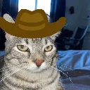 ponder_cowboy