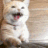 __ animated emote from #~ 𝐄𝐦𝐩𝐢𝐫𝐞 𝐖𝐞𝐬𝐭 𝟏𝟖𝟕