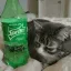 Alsprite