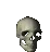 skull