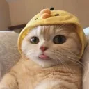 coopztoungeout coopztoungeout