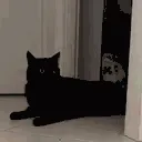 yoink