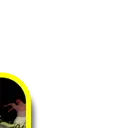 banner_5_0 banner_5_0
