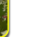 banner_5_1 banner_5_1