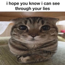 :iseeyou: