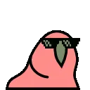 2307_DealWithIt_rainbow_Parrot