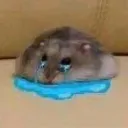 ueueueueuueue
