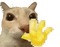 cathiii Discord emoji