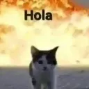 Hola
