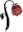 COEN_ROSERIP