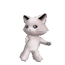 saracatdancing saracatdancing