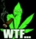 wtf