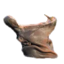 Dupescream