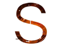 s_rank
