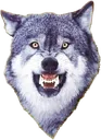 C_alphawolf C_alphawolf