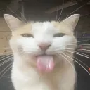 bleh