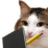 kittynoted kittynoted