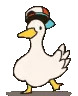 duckDance