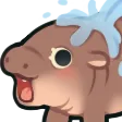 moodeng_water moodeng_water