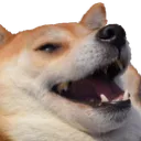 Smug_Doge